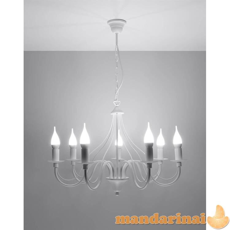 Liustra minerwa 7 balta