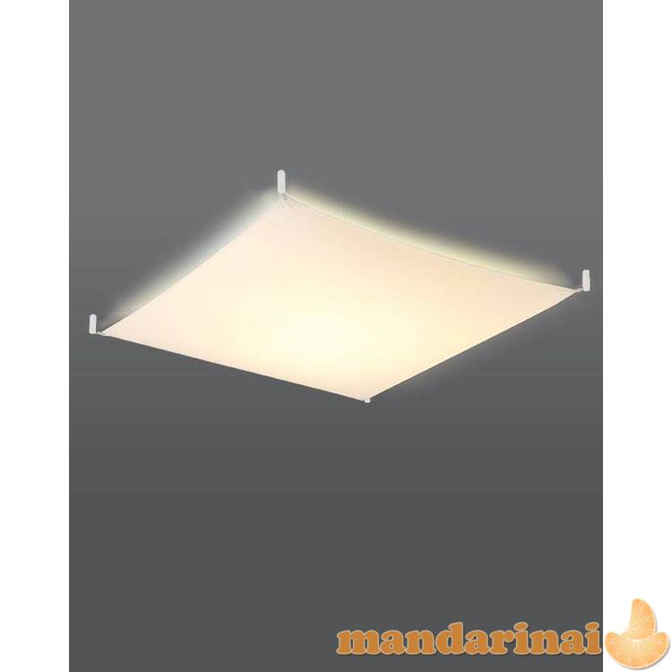 Lubinis šviestuvas luna 2 balta