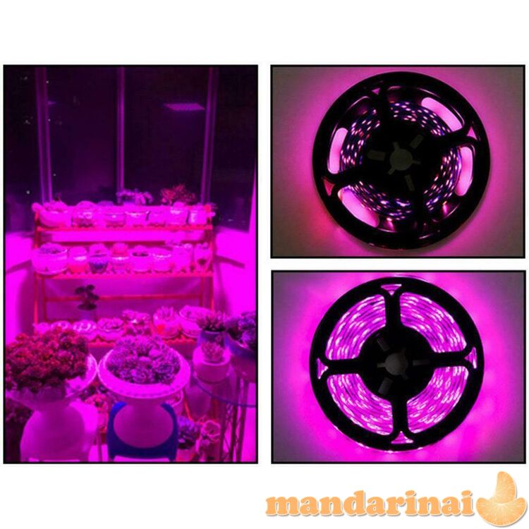 Pilno spektro drėgmei atspari 5m juosta su USB jungtimi 