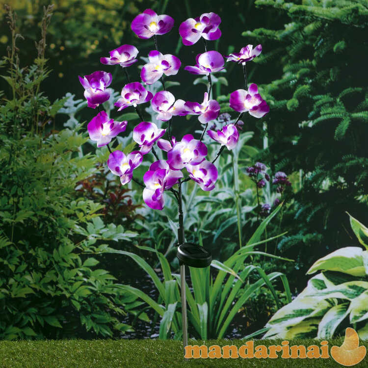 Hi saulės energija įkraunamas sodo led šviestuvas-orchidėja, 75cm