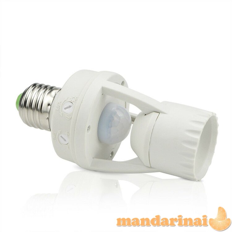 Lempos lizdas su judesio davikliu