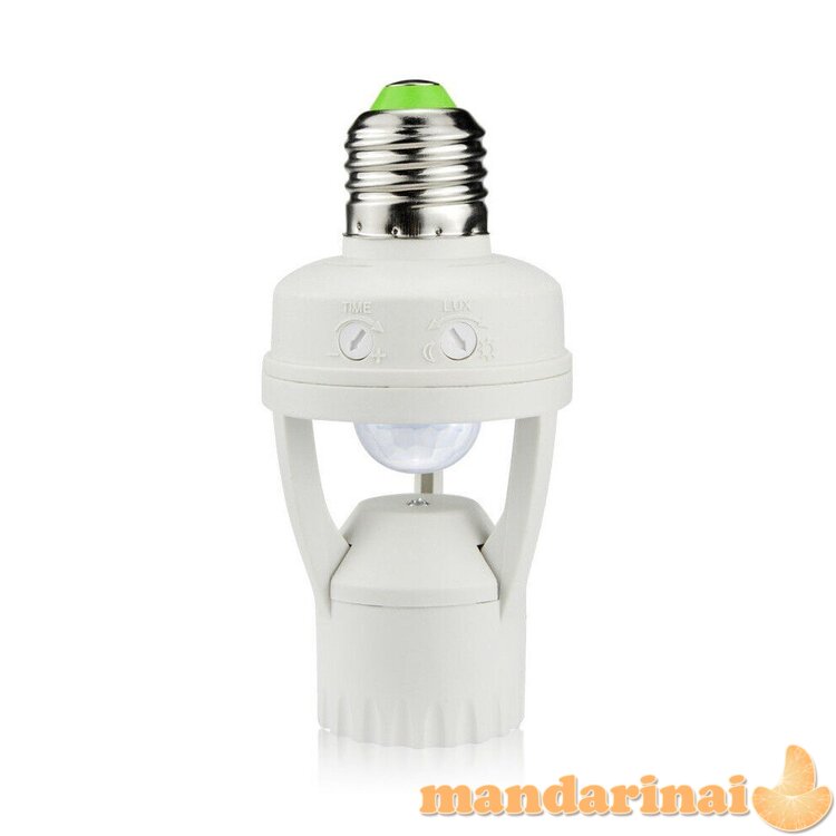 Lempos lizdas su judesio davikliu