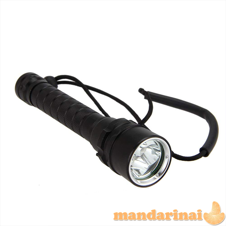 3 šviesos diodų UV vandeniui atsparus prožektorius