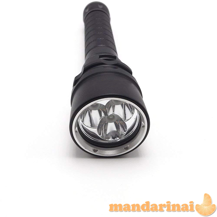 3 šviesos diodų UV vandeniui atsparus prožektorius