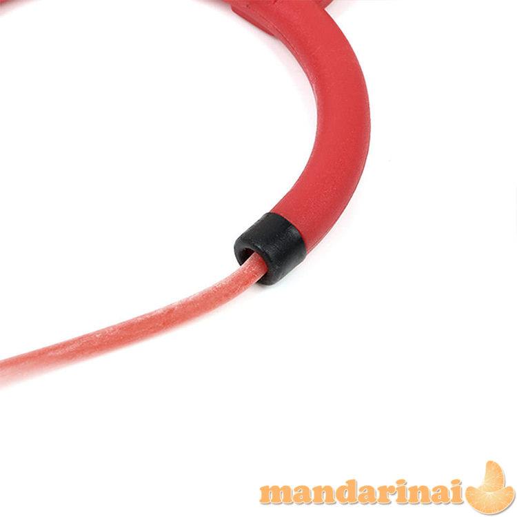 Laidynė - ragatkė žvejybai