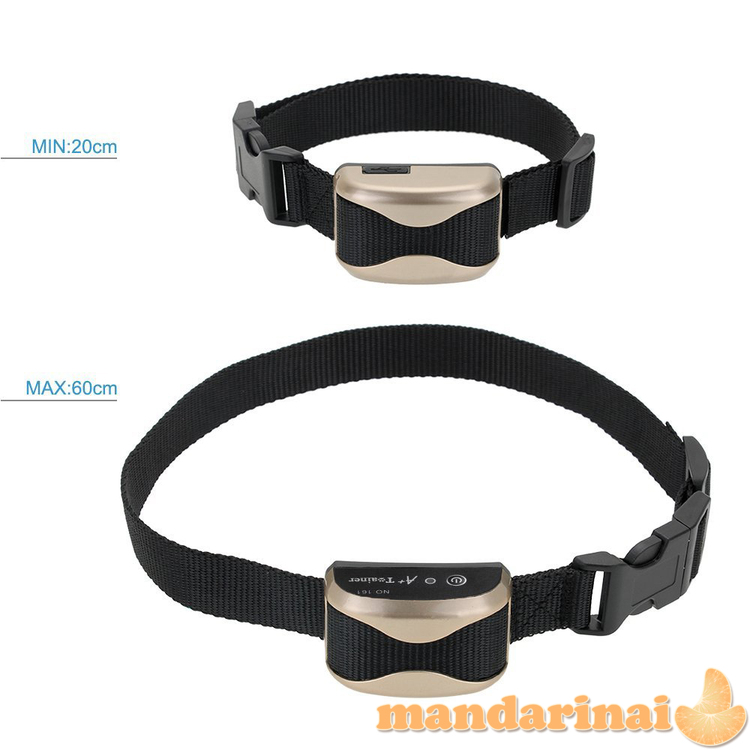 Iki 800m veikianti dresavimo sistema A+TRAINER SU ELEKTROS IŠKROVA