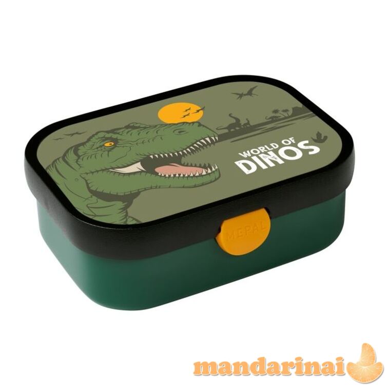 Vaikiška pietų dėžutė 