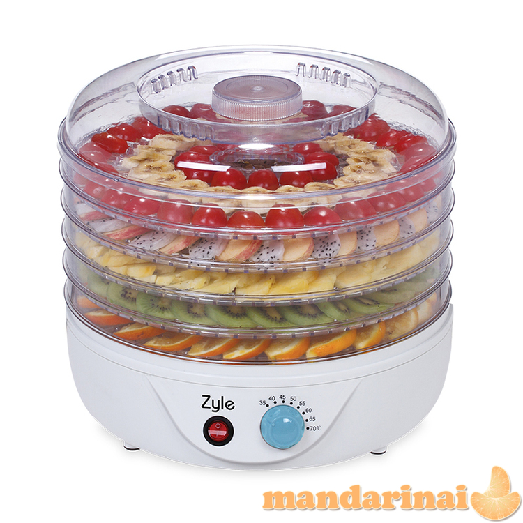 Vaisių džiovyklė, 