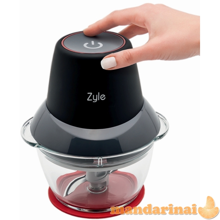 Maisto smulkintuvas,  2