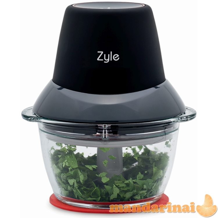 Maisto smulkintuvas,  1