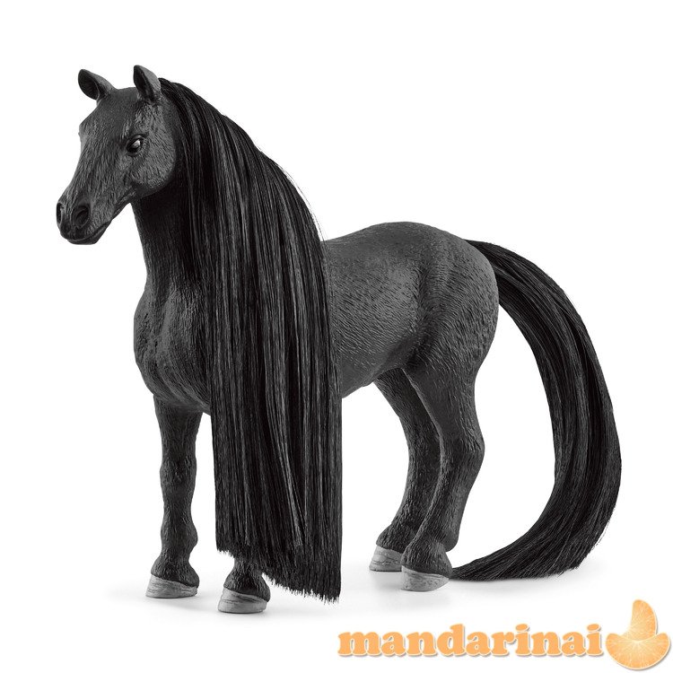 SCHLEICH SOFIA´S BEAUTIES „Beauty Horse“ Criollo Definitivo veislės kumelė