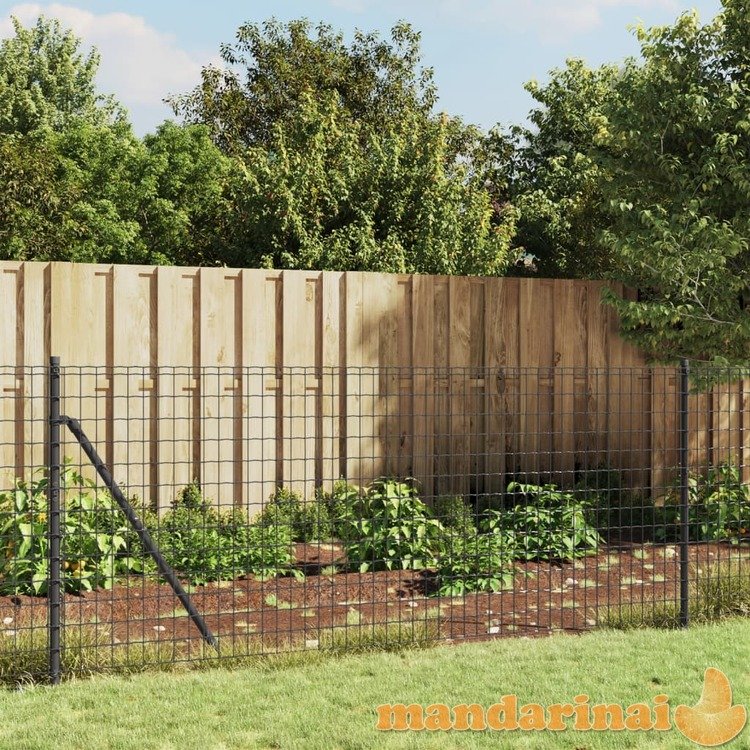 Vielinė tinklinė tvora su flanšais, antracito spalvos, 0,8x10 m