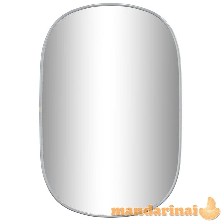 Sieninis veidrodis, sidabrinės spalvos, 60x40 cm