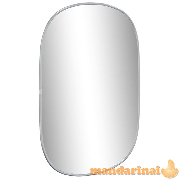 Sieninis veidrodis, sidabrinės spalvos, 60x40 cm