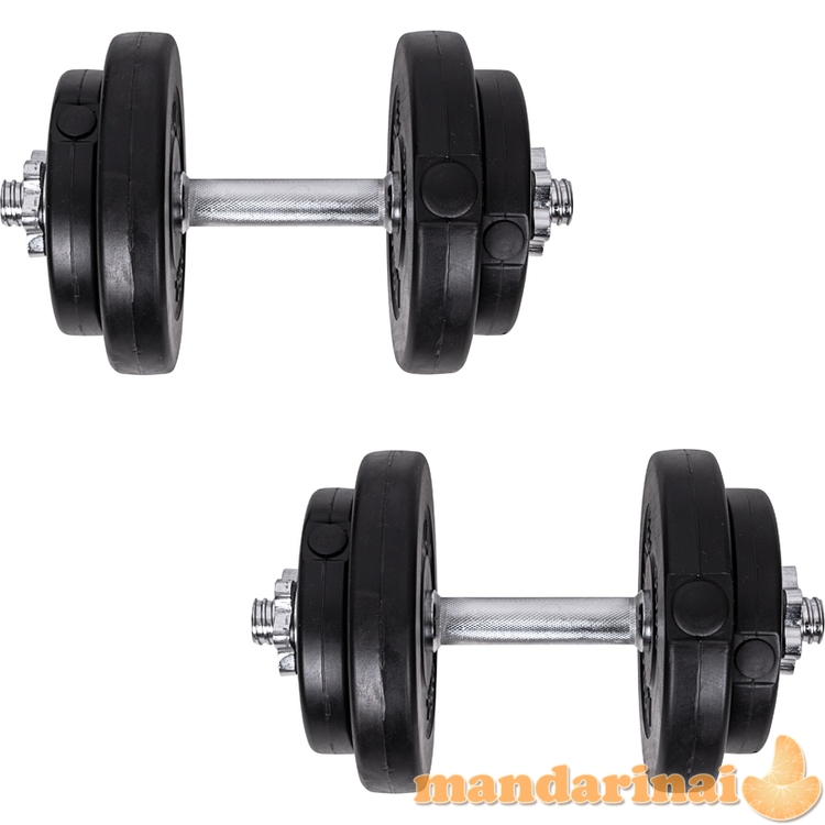 Dumbbell Set w/ Dip Station inSPORTline Power Tower 3-50 kg
