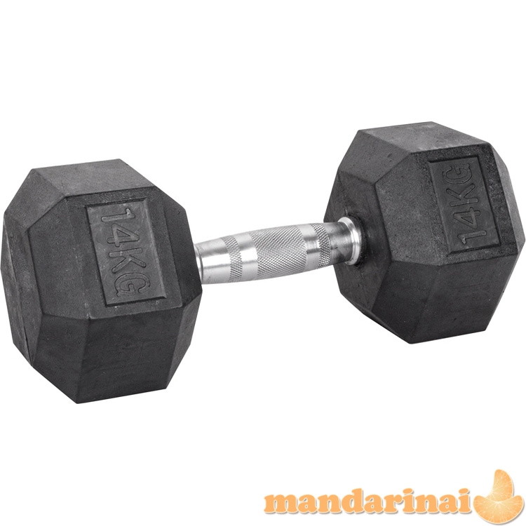 &Scaron;e&scaron;iakampis hantelis inSPORTline HEX 14kg