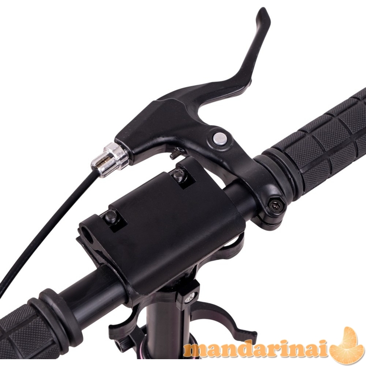 Motoroleris inSPORTline Discoleta