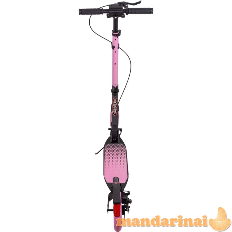 Motoroleris inSPORTline Discoleta