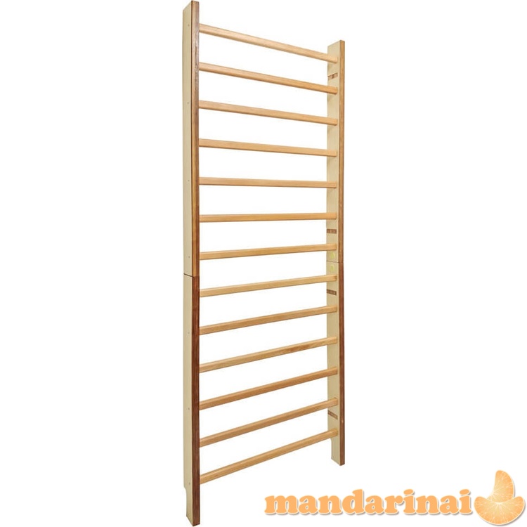 Gimnastikos sienelė inSPORTline Dualmar 220 x 65 cm