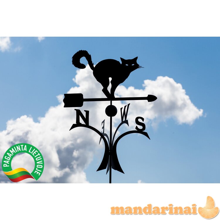 Vėjarodis ,,Katinas