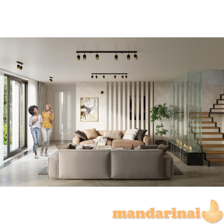 Sieninis šviestuvas nero juodas/auksinis 6