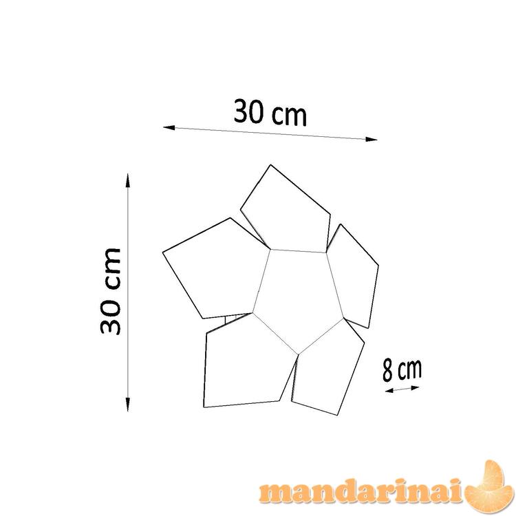 Sieninė lemputė penta juoda