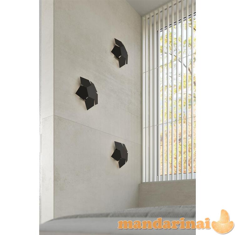 Sieninė lemputė penta juoda