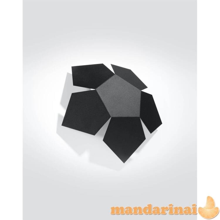 Sieninė lemputė penta juoda