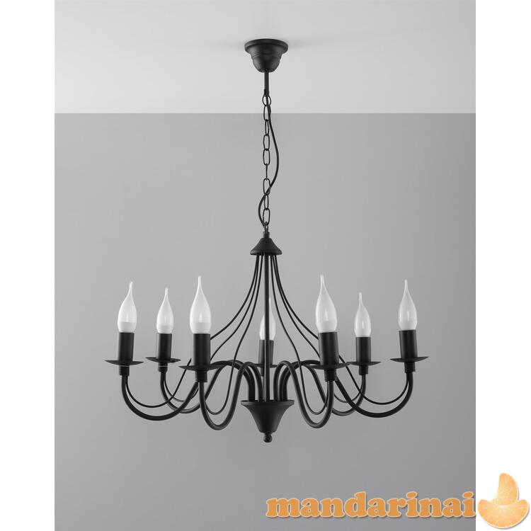 Liustra minerwa 7 juoda