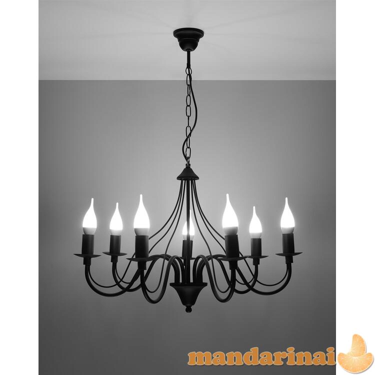 Liustra minerwa 7 juoda