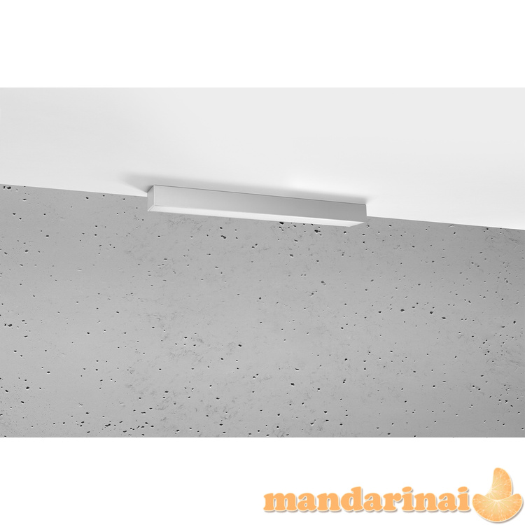 Sieninis šviestuvas pinne 67 balta