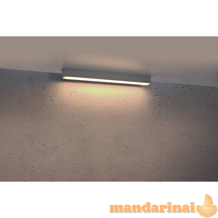 Sieninis šviestuvas pinne 67 balta 2