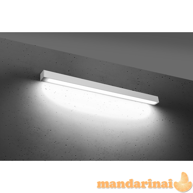 Sieninis šviestuvas PINNE 90 balta 2