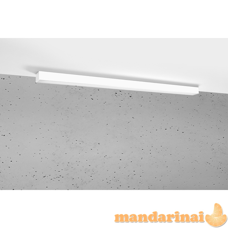 Lubinis šviestuvas PINNE 117 baltas