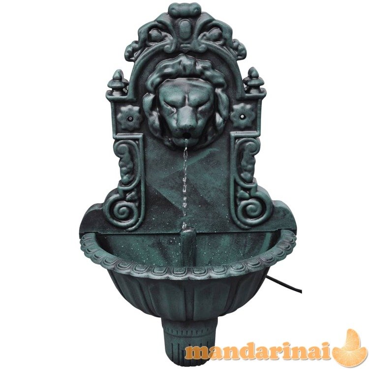 Sieninis fontanas, liūto galvos dizainas