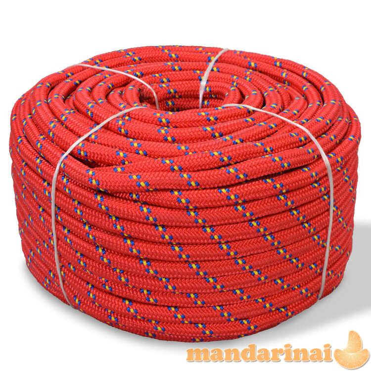 Jūrinė virvė, raudona, 250m, polipropilenas, 10mm