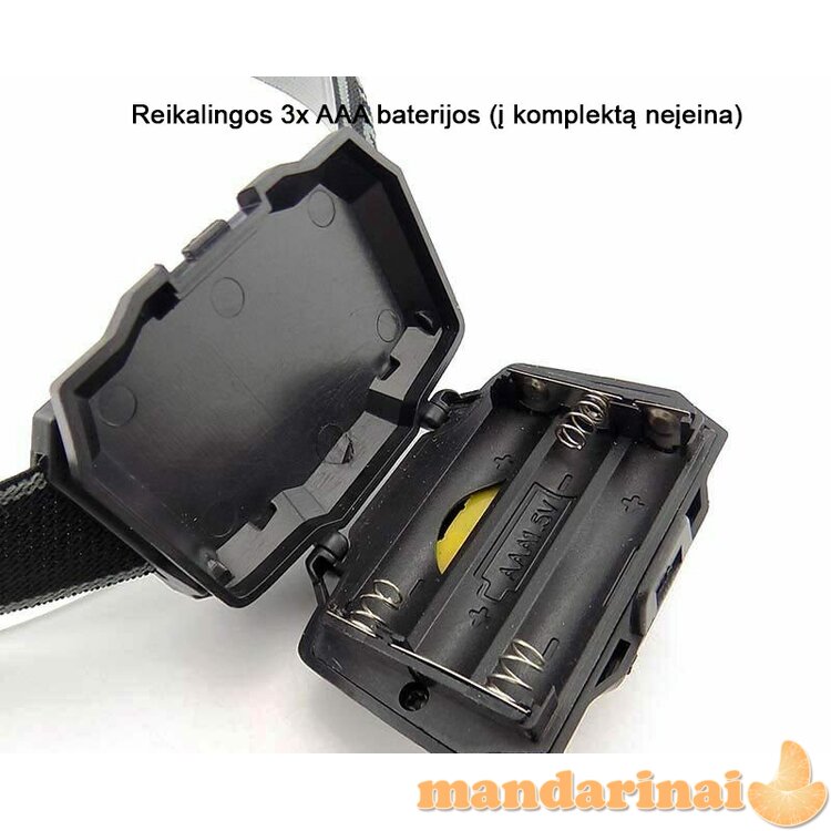 LED galvos prožektorius