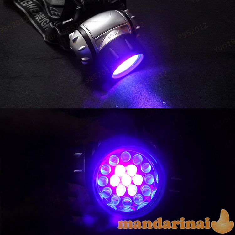 UV spindulių prožektorius ant galvos 19 diodų