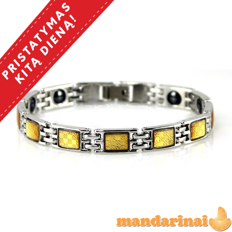 MAGNETINĖ TITANO - GERMANIO APYRANKĖ