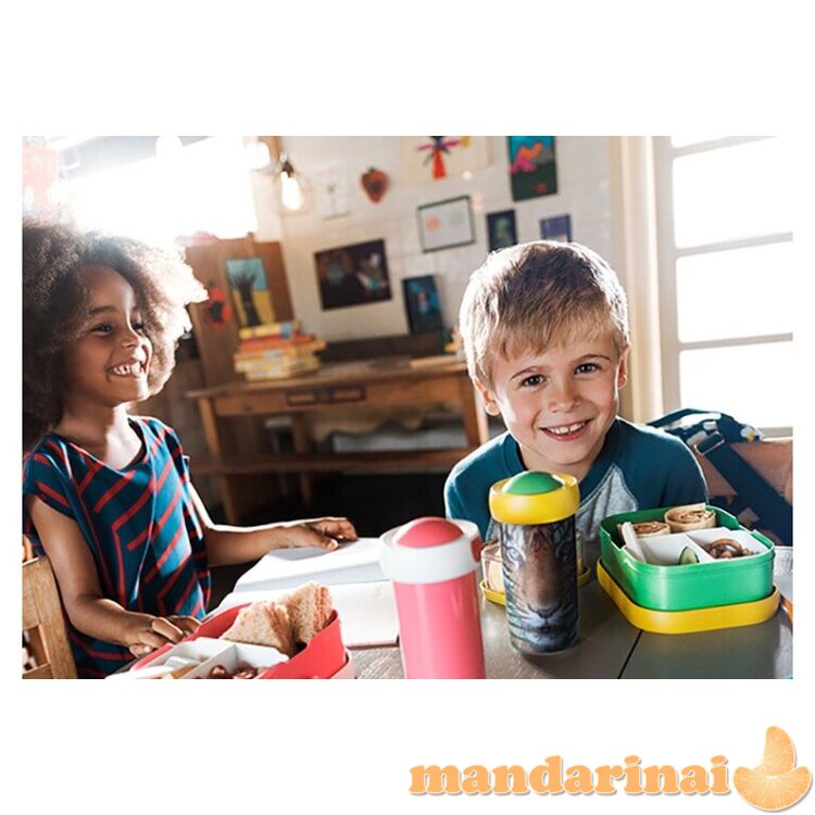 Vaikiška pietų dėžutė  1