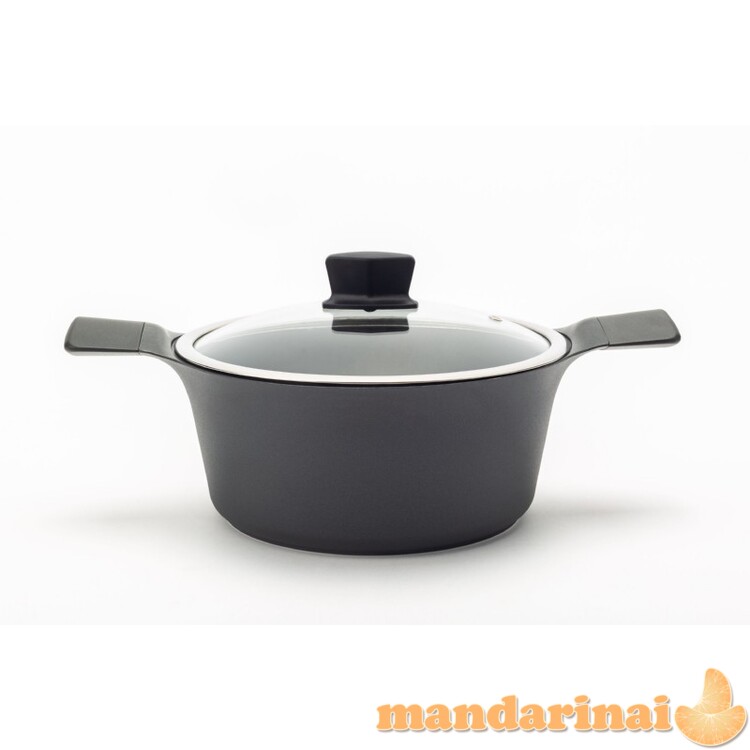 Indukcinis puodas su dangčiu Zyle 