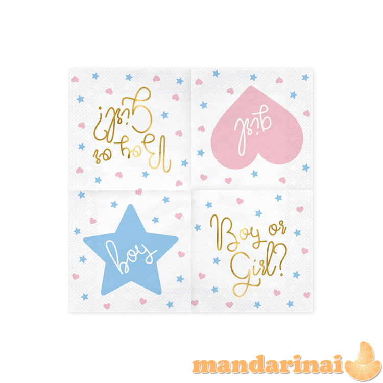 Napkins - Boy or Girl, 33x33 cm. (1 pkt / 20 pc.) 1