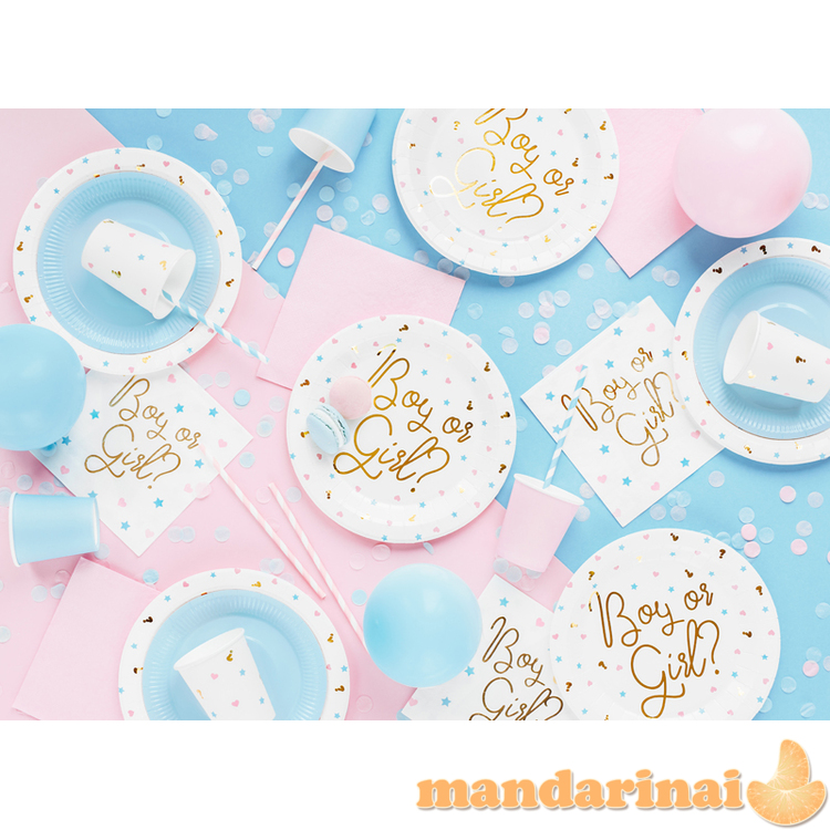 Napkins - Boy or Girl, 33x33 cm. (1 pkt / 20 pc.) 5