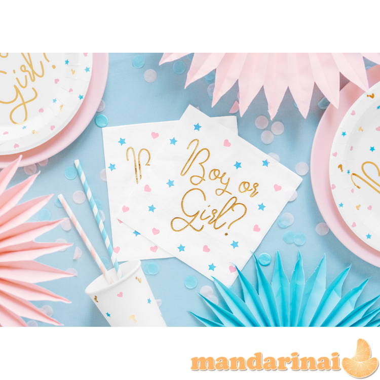 Napkins - Boy or Girl, 33x33 cm. (1 pkt / 20 pc.) 4