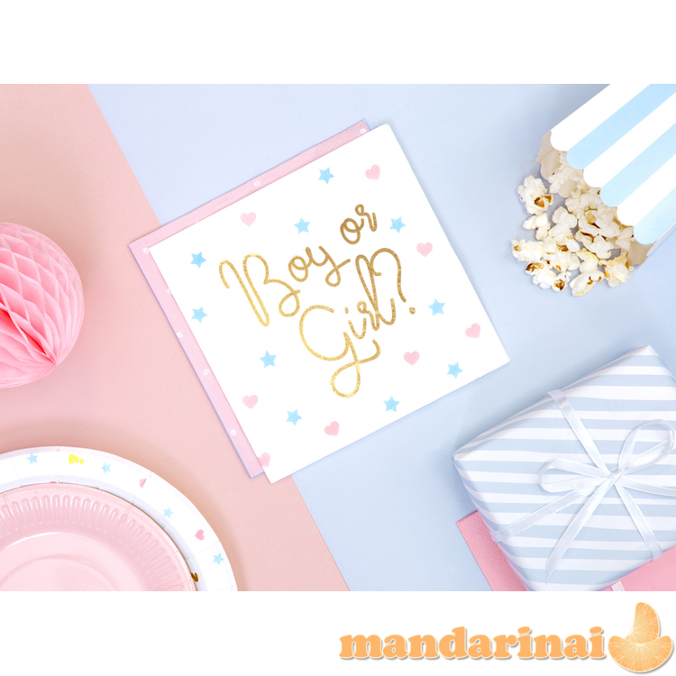 Napkins - Boy or Girl, 33x33 cm. (1 pkt / 20 pc.) 3