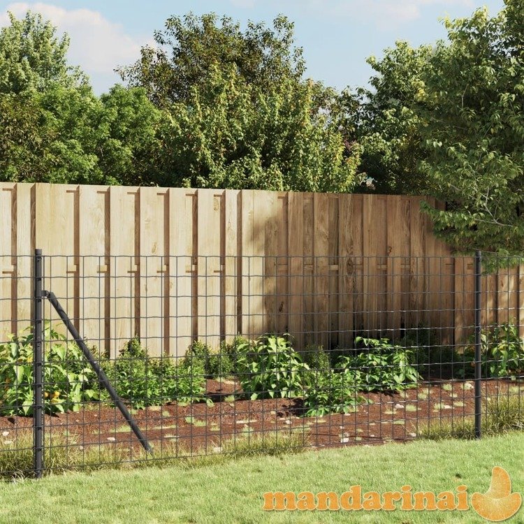 Vielinė tinklinė tvora su flanšais, antracito spalvos, 1x10m