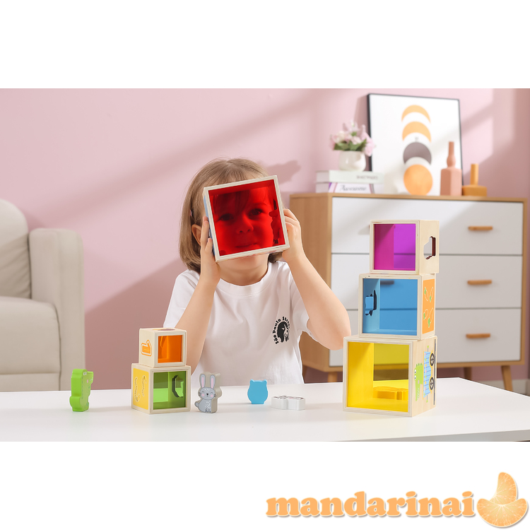 Viga 44572 Rūšiavimo blokeliai - vienas į kitą 3