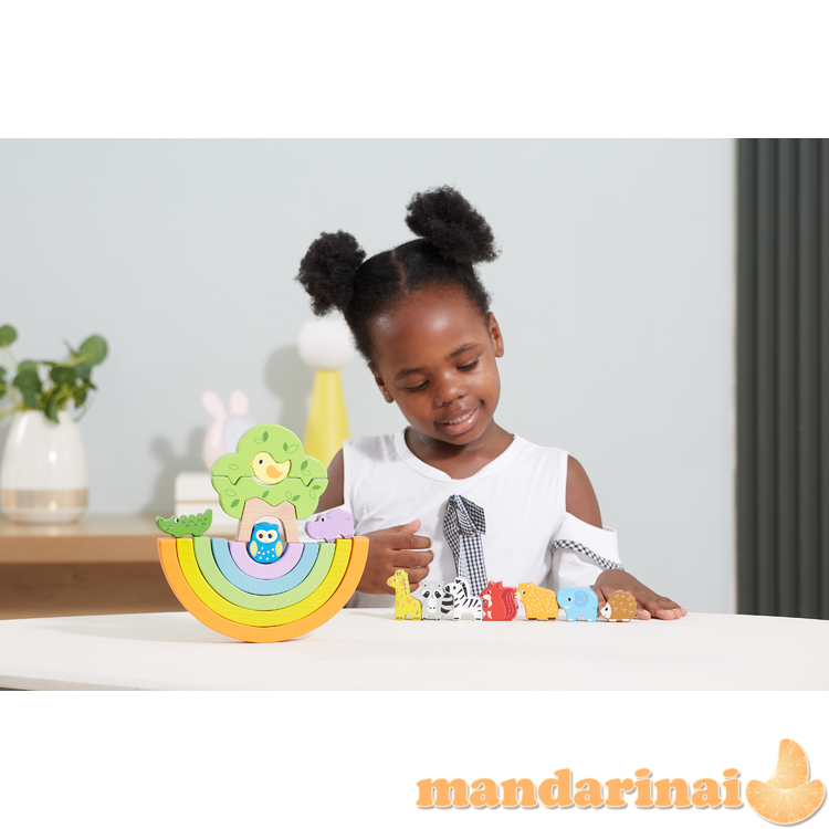 Viga 44590 Rainbow lavinamieji blokeliai - pusiausvyros sija 3