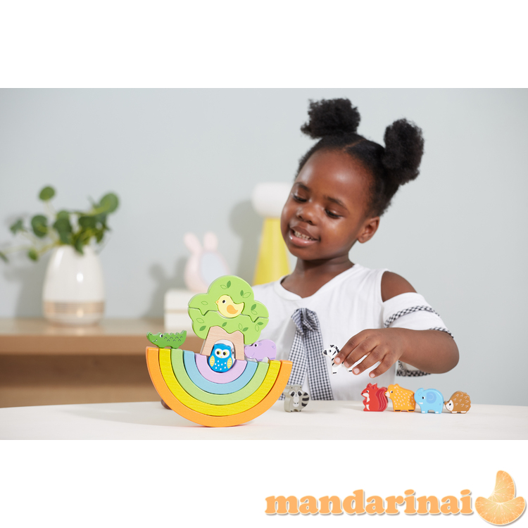 Viga 44590 Rainbow lavinamieji blokeliai - pusiausvyros sija 4