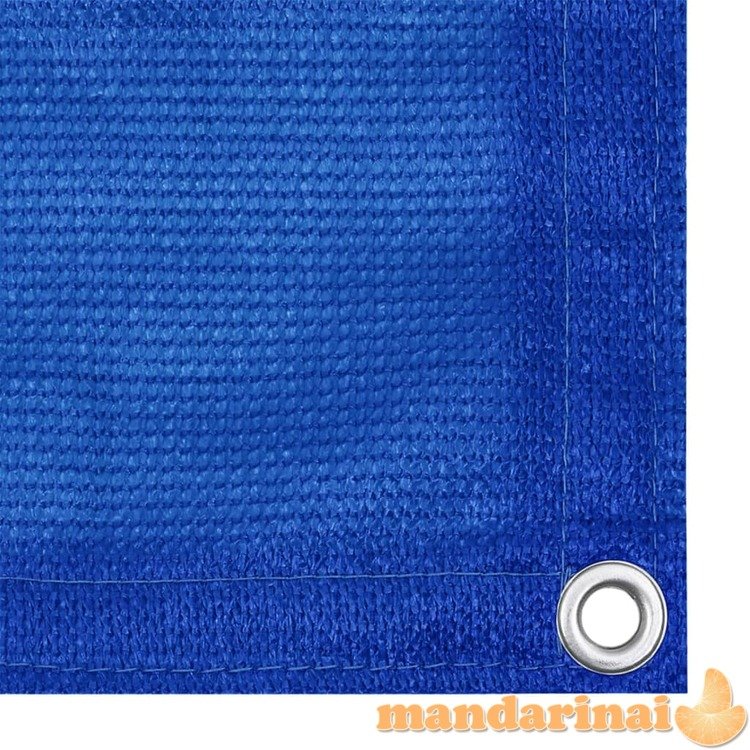 Palapinės kilimėlis, mėlynos spalvos, 250x550cm